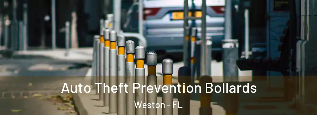 Auto Theft Prevention Bollards Weston - FL