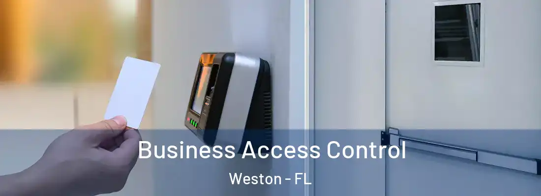 Business Access Control Weston - FL