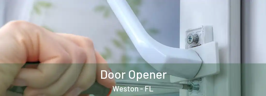 Door Opener Weston - FL
