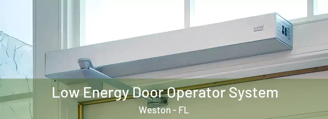 Low Energy Door Operator System Weston - FL